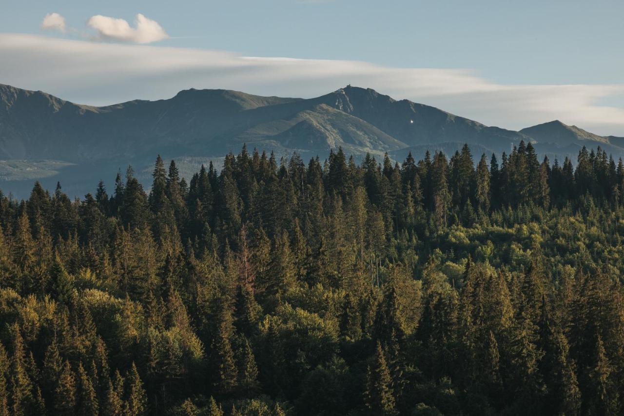 Pod Gontem Appartement Bukowina Tatrzańska Buitenkant foto