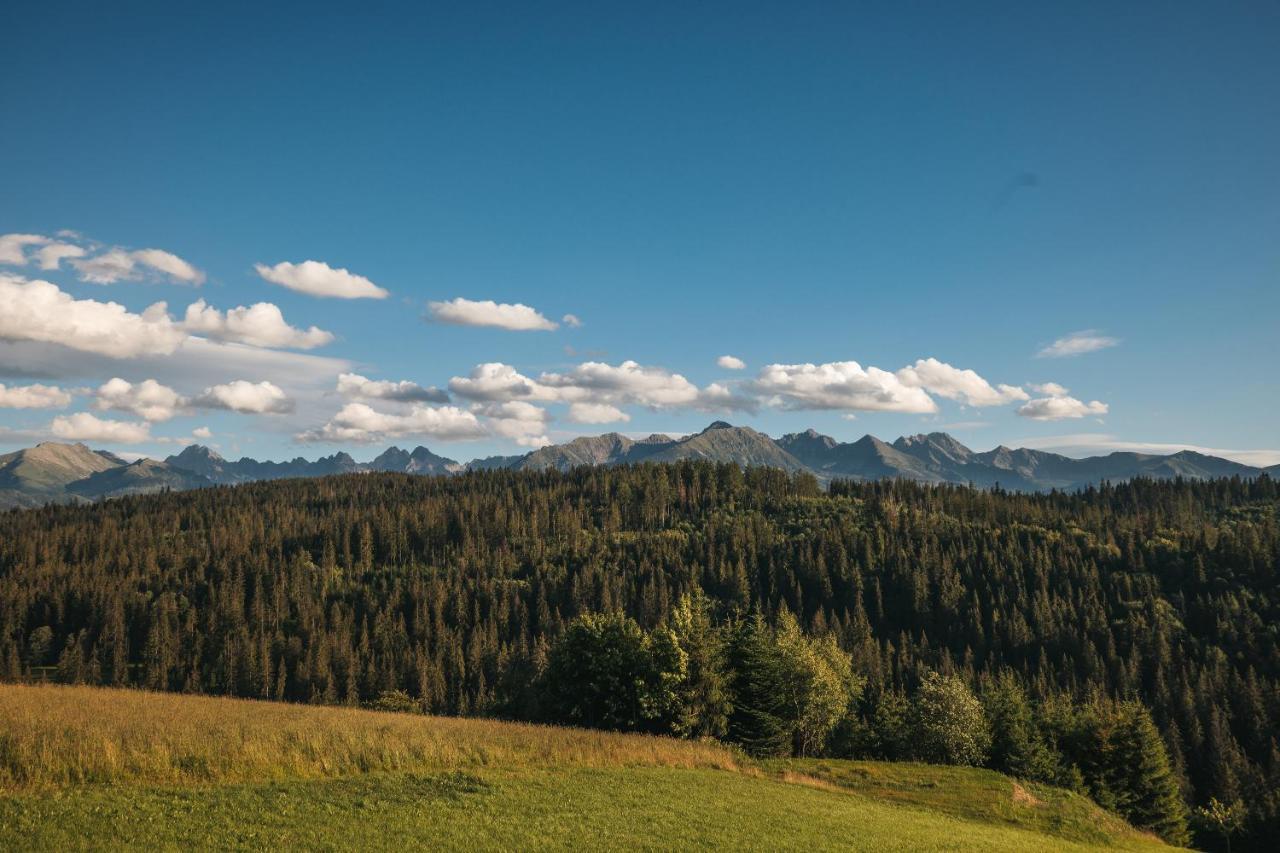 Pod Gontem Appartement Bukowina Tatrzańska Buitenkant foto