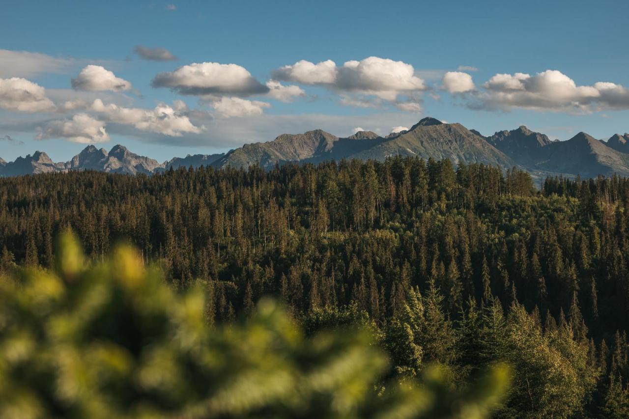 Pod Gontem Appartement Bukowina Tatrzańska Buitenkant foto